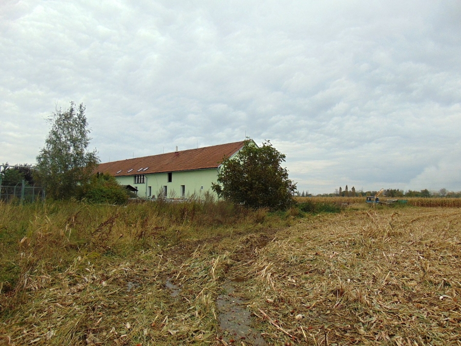 Foto 11